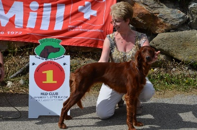 du Jardin de Malestroit - Nationale d'Elevage 2013