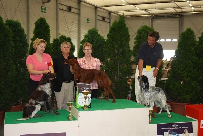 du Jardin de Malestroit - FAOLAN Meilleure du 7°groupe à Tours